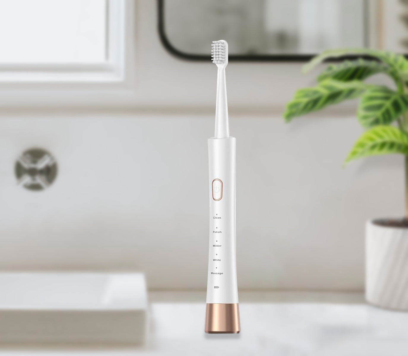 Ultrasonic Toothbrush